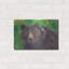 «Bear» par Carissa Luminess-604826508