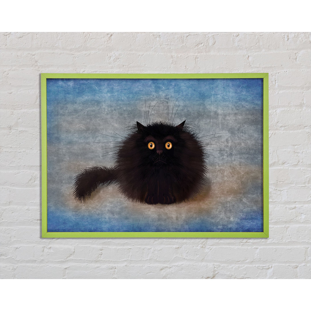 Petroskey Black Fuzzy Cat - Einzelner Bilderrahmen Kunstdrucke