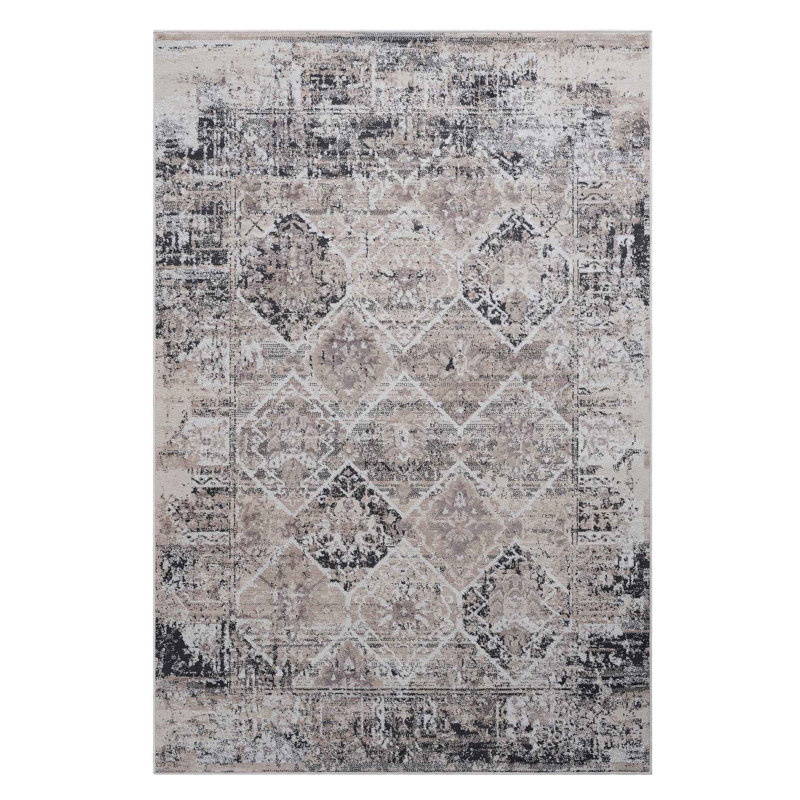 Collection /Traditional Non-Shedding Living Room Bedroom Dining Home Office Stylish And Stain Resistant Area Rug