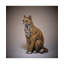 Figurine de chat 15 po HEDGE