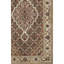 Lowney Cotton Oriental Area Rug in Brown