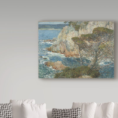 Fluellen Coastal