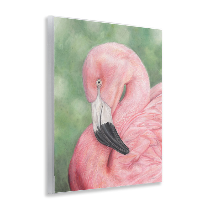«Blush Flamingo Visage» par Connie Resch