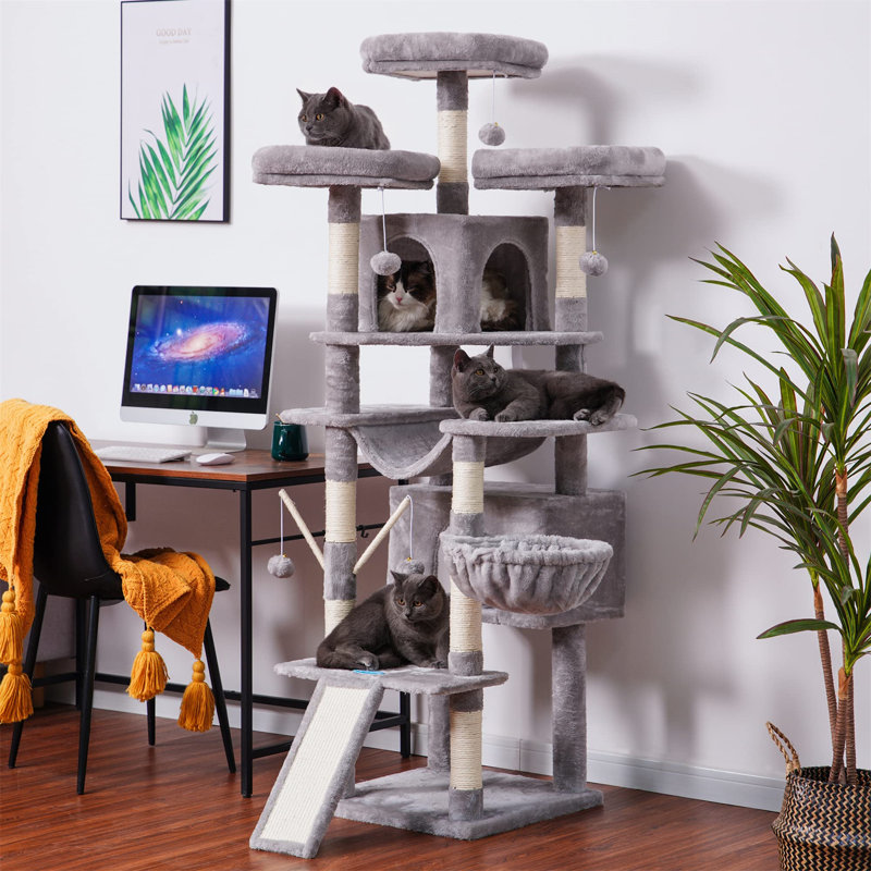 Arbre à chat 70,87 po H, Gris
