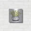 «Mud Fabric Succulent I» par Cindy Jacobs-673563758