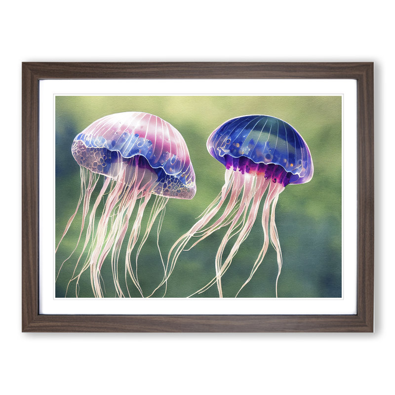 Watercolour Jellyfish - Single Picture Frame Print, 46cm H x 64cm W x 2cm D, Walnut