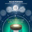 Black Solar Powered Integrated LED Pathway Light