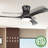 Chrisel Ceiling Fan with Light Kit