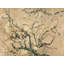 Almond Almond Blossom by Vincent Van Gogh - Wrapped Canvas Print-1869471249