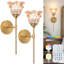 Armed Sconce
