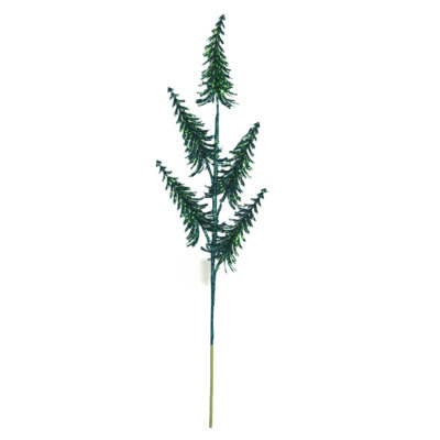 Cueillette de pin émeraude vert scintillant