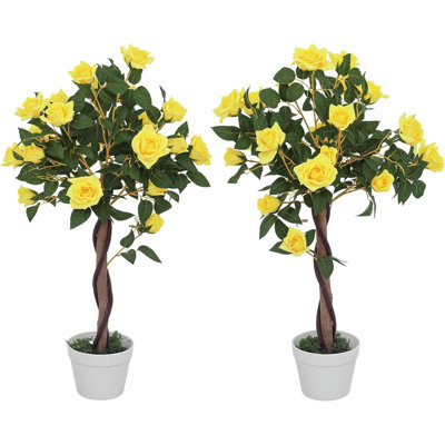 Arrangement in Pot