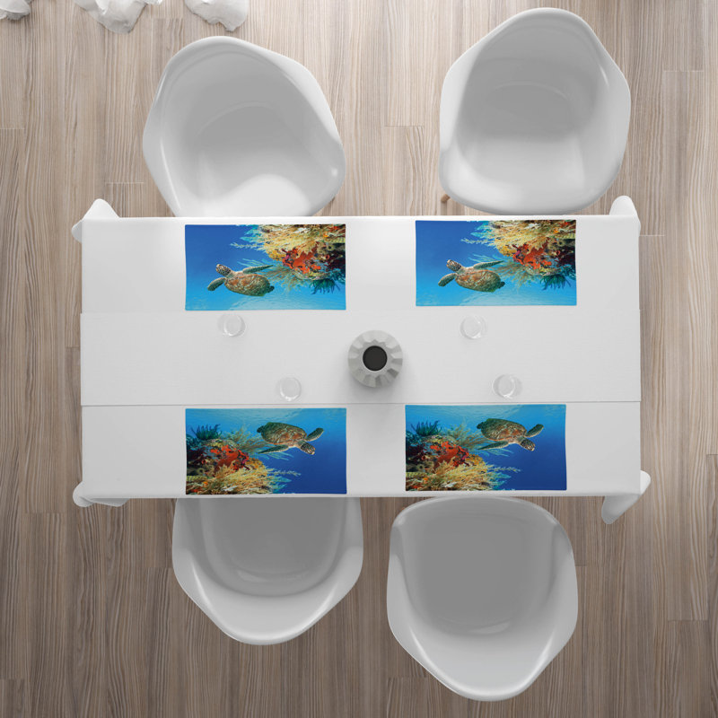 Récapitulatif 18,5" turtle