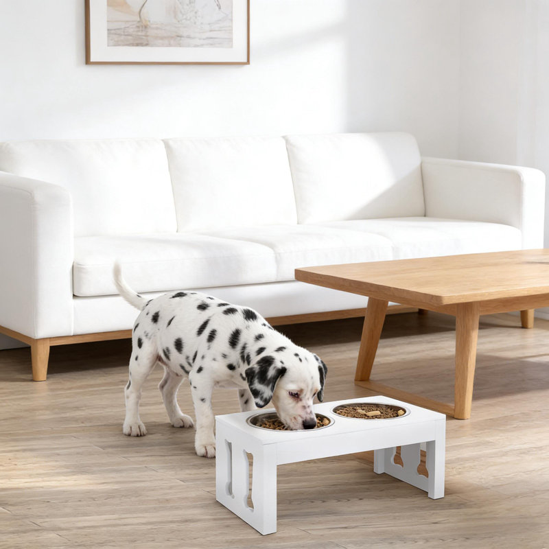 Support surélevé pour bols et nourriture pour chien