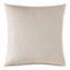 Teryn Square Pillow Cover & Insert