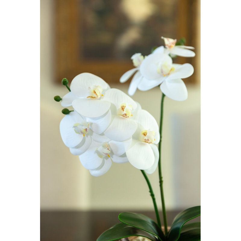 Arrangement floral orchidées en pot real-touch