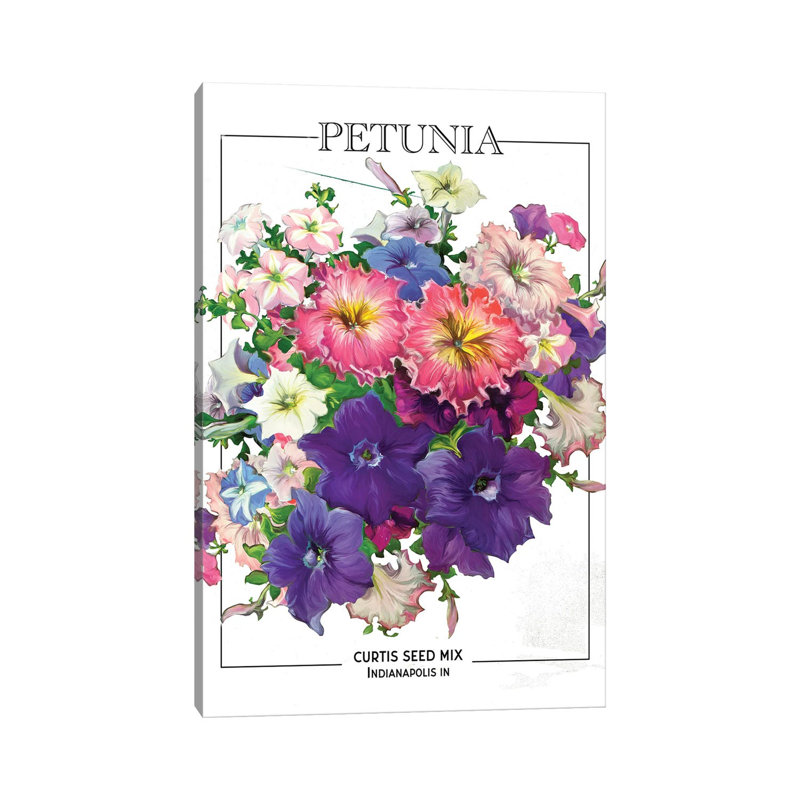 Petunia Vintage Seed Poster by Saturday Evening Post - Wrapped Canvas Gallery-Wrapped Canvas Giclée, 101.6 cm H x 66.04 cm W