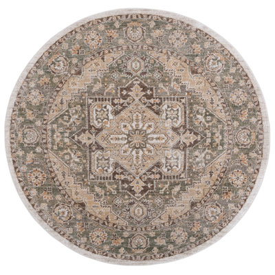 Hazel 500 Performance Oriental Rug