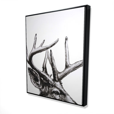 " Roe Deer Plume "