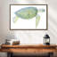 Tortue de mer tranquille I-324006128-324006133
