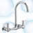 Double Handle Wall Mount Standard Kitchen Faucet