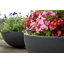 Jodelle Fibreglass Planter-14486183
