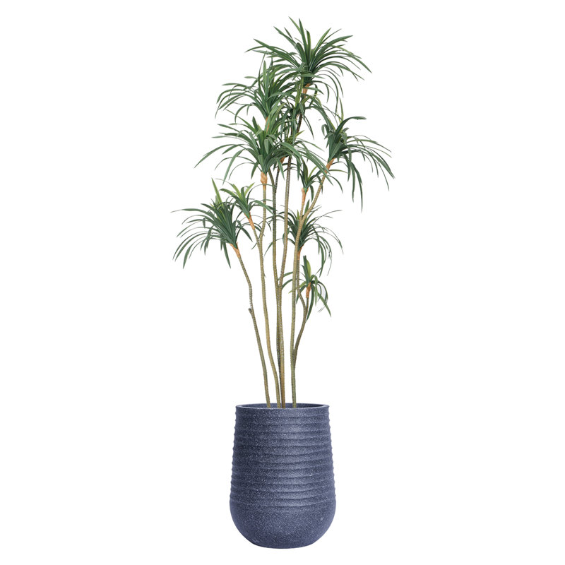 Arbre de dragon artificiel 86,08 "en pot, Bleu