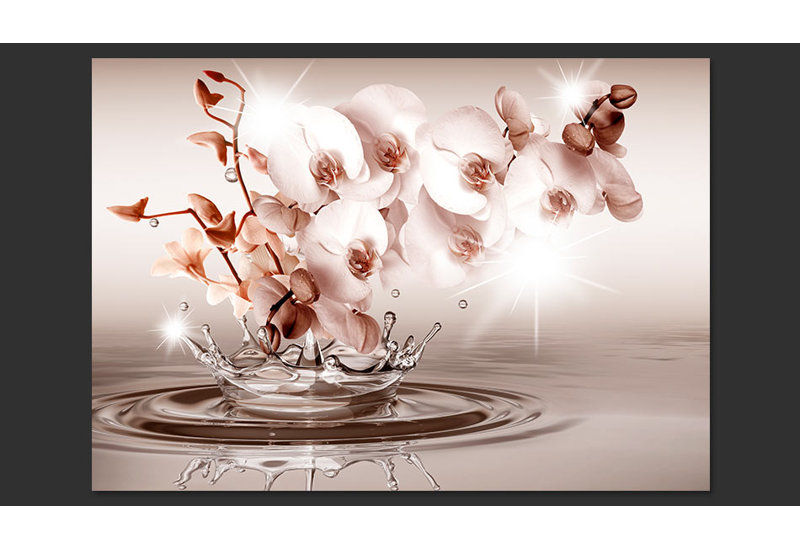 Touch of Tenderness 2.10m x 300cm Wallpaper, 300 cm x 210 cm