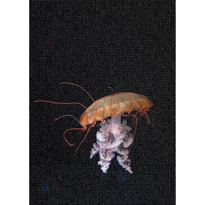 Tapis noir de style foncé 49
