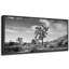 «Cactus Desert», impression sur toile encadrée-98042546-111665260