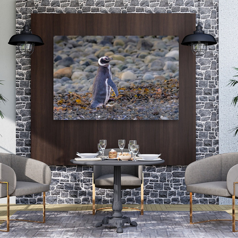 Wild Penguin On Rocky Beach Abstract Contemporary Bird Penguin Coastal Wall Art Print, 101.6cm H x 152.4cm W
