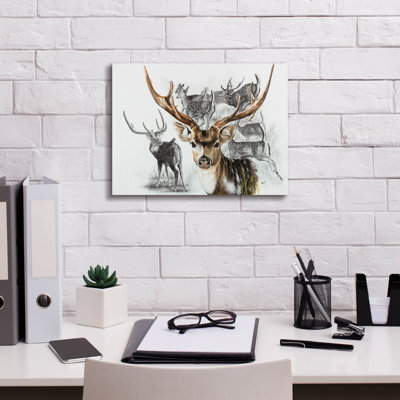 " Axis Deer " by Barbara Keith