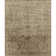Oriental Indoor Rug