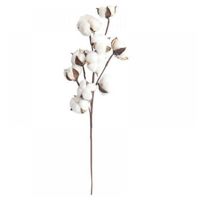 Cotton Arrangement