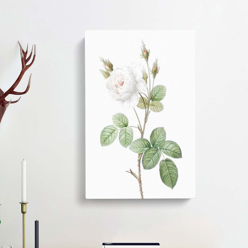 White Moss Rose by Pierre-Joseph Redoute - Wrapped Canvas Painting, 50cm H x 35cm W x 3cm D