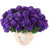 Purple sélectionné