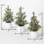 Arbre de Noël pin vert Cachemire Lhea