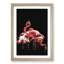 Pink Flamingos in Abstract - Framed Print-55768778-55768780