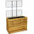 Golden Teak