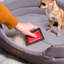 Mini épilateur réutilisable pour poils d'animaux
