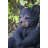 Animals Weather Resistant Water Resistant UV Resistant Polyresin Garden Statue