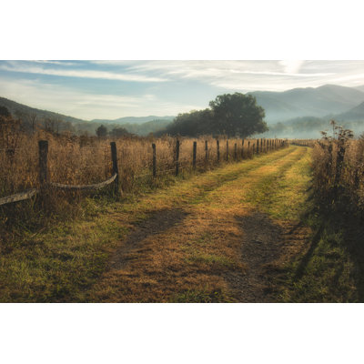 «Grassy Lane», photographie sur toile