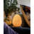 The Daisy Lamp Melon-125499959