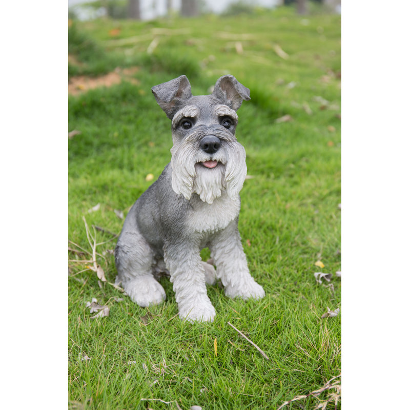 Statue Schnauzer, gris