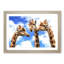 Three Giraffes in Abstract - Picture Frame Painting Print-55611659-55611651