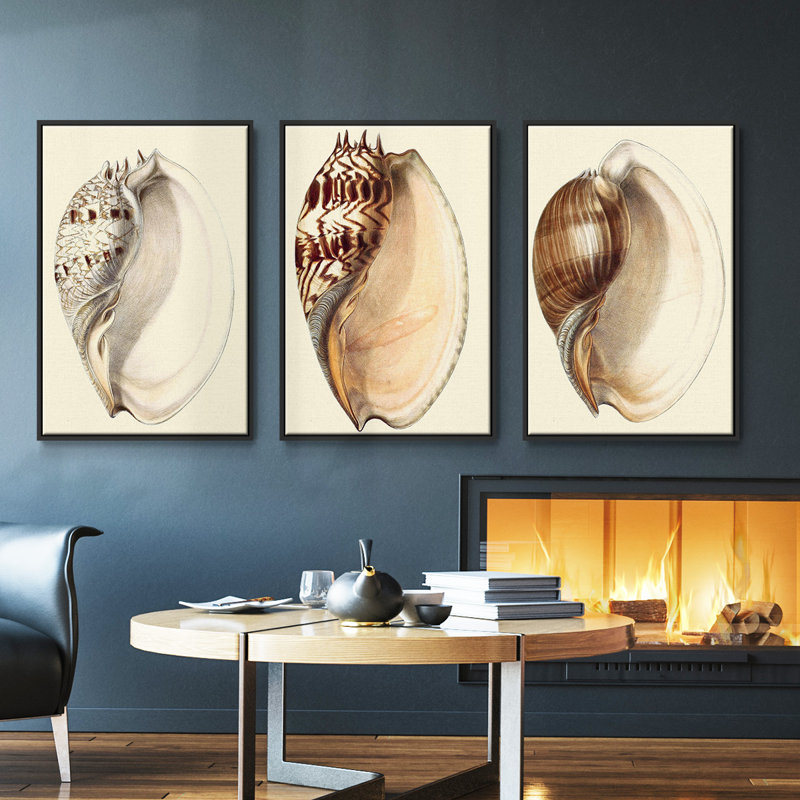 Splendid Shells I, ensemble de 3 toiles encadrées sur toile, Noir, H 40 po x l 78 po