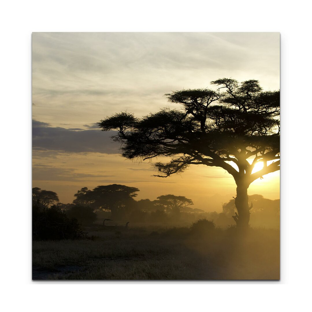 Leinwandbild Akazie bei Sonnenuntergang Kenia