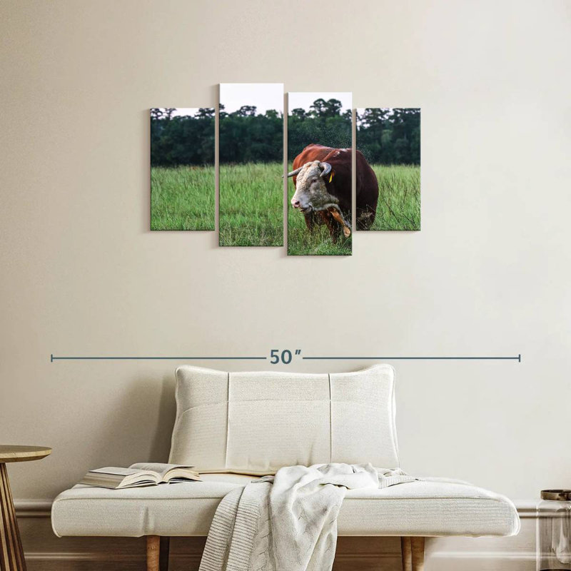 Hereford Bull, H 22 po x l 36 po