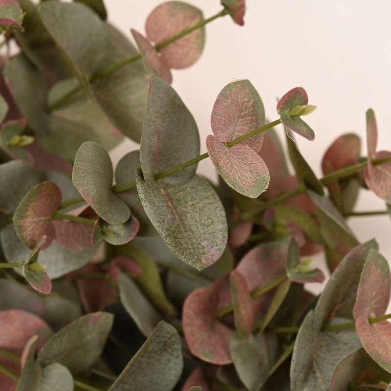 Couronne de porte d'eucalyptus 24 po