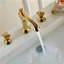 Toulon Dual Handle Gold Finish Bathroom Sink Faucet
